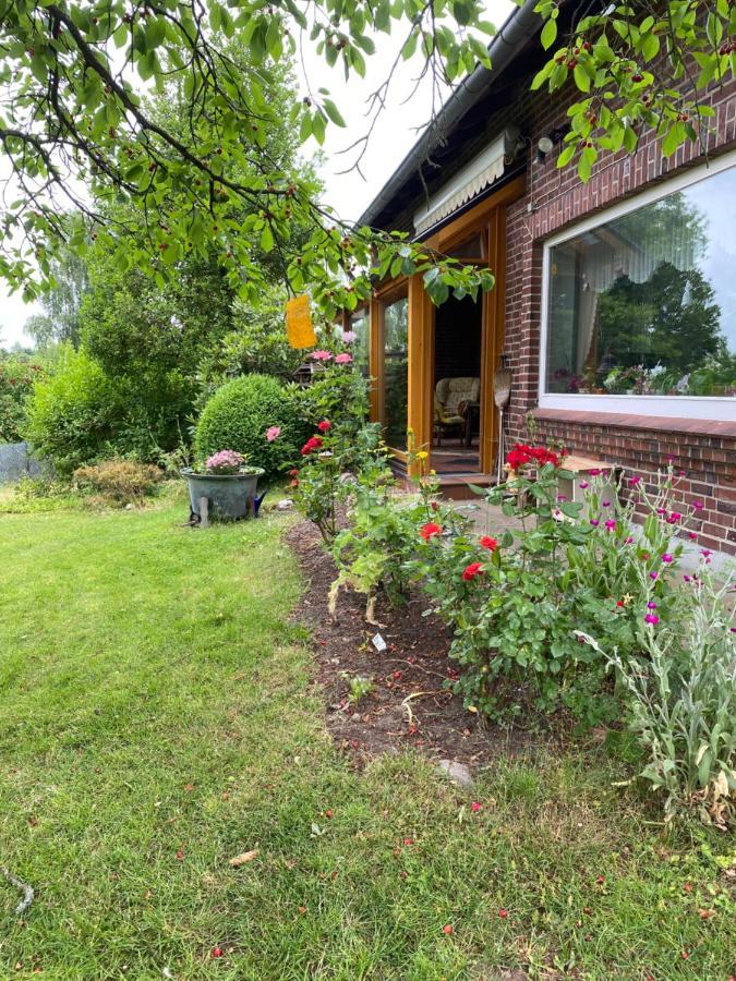 Ferienwohnung Wegener Neetze Eksteriør billede